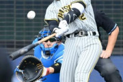 【阪神】坂本がバットで正捕手定着をアピール　日本ハム戦で先制２ラン