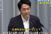 【画像】小泉環境大臣、もはや誰も理解出来ない領域へｗｗｗｗｗｗｗ