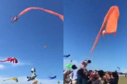 凧がからまった女児が宙に浮き白影になる。台湾の市長が謝罪