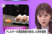 【衝撃』世界初。とんでもない”卵”が爆誕へ「アレルギーの原因物質を除去ってみた」