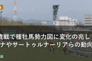 2歳戦で種牡馬勢力図に変化の兆し キズナやサートゥルナーリアらの動向
