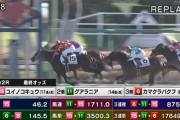 日曜中山2レースクソあれwww