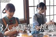 乃木坂あそぶだけみたいだなｗ 動物カフェの次は陶芸に挑戦ｗ【乃木坂46】