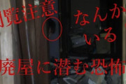 【オカルト談義】「心霊」は情報化の時代に取り残されてしまった。時代に適応しろ。