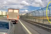 【動画】道路わきのフェンスによじ登っていた子猫を救おうとした結果(ﾟoﾟ)