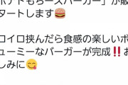 【画像】今度のドムドムハンバーガーの新作うまそう