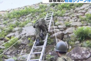「百戦錬磨」の技で自衛隊員ら彦根城の石垣で草刈り、ひこにゃんと空ぽんも激励…彦根城クリーン作戦！