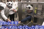 【悲報】「パンダ」がいなくなった街、様子がおかしくなってしまう。どうすんのこれｗｗｗｗｗ