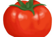 【悲報】トマトの値段、限界突破･･･