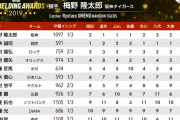 ［1.02 FIELDING AWARDS 2019］捕手部門1位梅野隆太郎