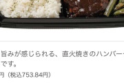 セブンイレブンブン「なに？ハンバーグ弁当が食いたい？しゃーねーなあ…w」