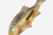 【疑問】川魚ってなんで不味いの？