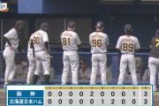 練習試合　試合結果　日本ハム３－３阪神　