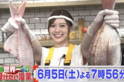 【元乃木坂46】出演情報 白石麻衣 6/5『世界一受けたい授業』登場！まいやん魚さばき　第2弾