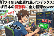 【投資】ワイNISA出遅れ民、インデックス買わず日本の個別株に全力投球ｗｗｗｗｗ