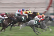 【競馬/CBC賞】何でレッドファルクス三番人気だったの？