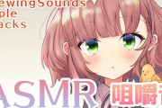 Vtuber 【飛鳥ひな】耐久ASMR終了！！←ハジメで観た光景じゃんｗｗｗｗｗｗｗｗｗｗｗ