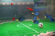【悲報】先生「サッカースタジアムと水族館どちらが静岡に必要か考える授業するで！」→水族館圧勝
