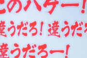 政府「日本人の国内旅行が伸び悩んでいる・・・原因はコレだ！」→ネット総ツッコミ「本当はわかってるくせに見て見ぬふりすんなよ」