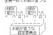 【AKB48】峯岸みなみ「先輩がいたことで自分のキャラが出せなかった後輩がいるんじゃないか」