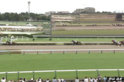 【土曜中山6R新馬戦】ポッドビート＆武豊騎手がｷﾀ━━━━(ﾟ∀ﾟ)━━━━!!
