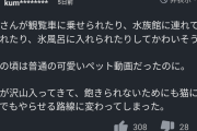 【悲報】「もちまる日記」、いつのまにかアンチだらけになり取り返しのつかない状況になっていた