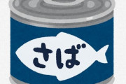 サバ缶をレンジで温めたら爆発してワロタwwwwwwwwwwwwww