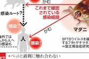 マダニ感染症を関東で初確認　高い致死率、地域拡大❓❗