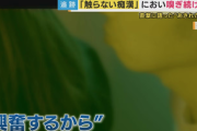 【画像】『触らない痴漢』で逮捕された男、怖すぎる…