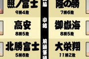 宝富士の三役昇進ってありえるの？