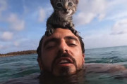 なんだこの子猫。水を怖がらないどころか自ら海に入ってしまう子猫の動画が人気に。