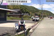 韓国人「日本の田舎道に設置された“スピード違反取締装置”の正体に驚愕！地元建設会社の独創的な発明とは…？（ﾌﾞﾙﾌﾞﾙ」