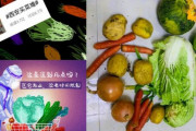 海外「中国西安のロックダウン政策が酷すぎる件。住民は餓死しそうになっているようだ」