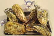【画像あり】牡蠣買ってきたよー(^o^)/