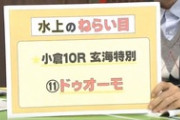 【競馬】本命の単勝は絶対買うべき