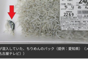 「ちりめん」パックにフグ混入　800パック余りに混入可能性　スーパーが自主回収　愛知県