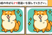【答えは3つ！】簡単なまちがいさがしやるよ～【全5問】