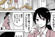 【妖精】なんだよこの漫画ｗｗｗ【注意】