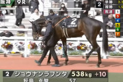 素質馬ショウナンラプンタが地味に1勝クラス突破した件