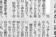 【悲報】お婆さん「あらお帰りなさい。車に気を付けてね」 子ども「知らない人だああああ」
