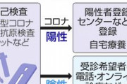 【緊急】医療関係者「年末年始に発熱するとヤバい。検査キットや市販の解熱鎮痛薬を用意して」