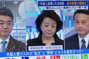 橋下徹氏が「じゃどうすれば良かったんですか？」と聞かれ「レーダー照射仕返す」と答える  [12/15]