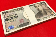 政治家「政治家やってもひと月100万しかもらえない。民間企業の経営者は1億もらってる」