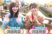 【日向坂46】河田陽菜、浸透させたいニックネームはKAWADAさんではなく...