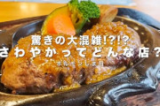 ワイ、初さわやかハンバーグに来店！