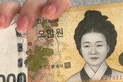 【韓国】「今こそ日米と通貨スワップを！」韓国専門家が主張もネットは「どうせ無理」「親中親北の限界が見えた日米と共に…」