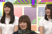【日向坂46】お蔵入りとなっていた「けやかけ」ぬいぐるみ企画にメンバーの姿がwwww