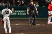 阪神才木、胴上げ前にカープベンチへ頭下げ謝罪。頭部死球の石原が手を上げて応える
