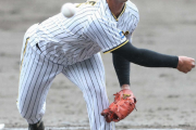 阪神ドラ5岡留、今度こそ登板なるか　熊谷とともに1軍昇格へ