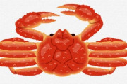 【大漁】オオズワイガニとやらが捕れすぎて漁師が困ってるらしい